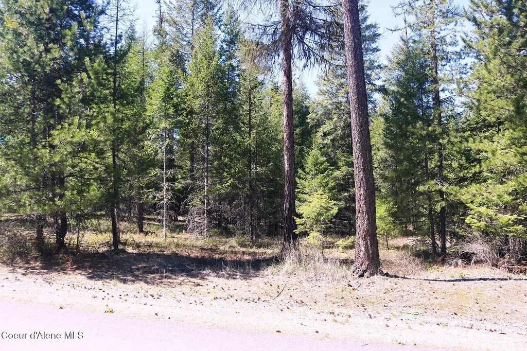 Nna Christensen Avenue Priest River ID 83856