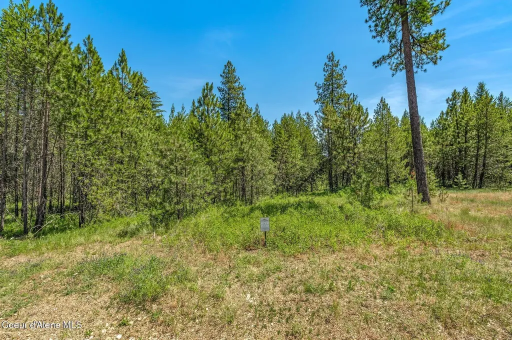 Lot 20 Asulkan Street Athol ID 83801