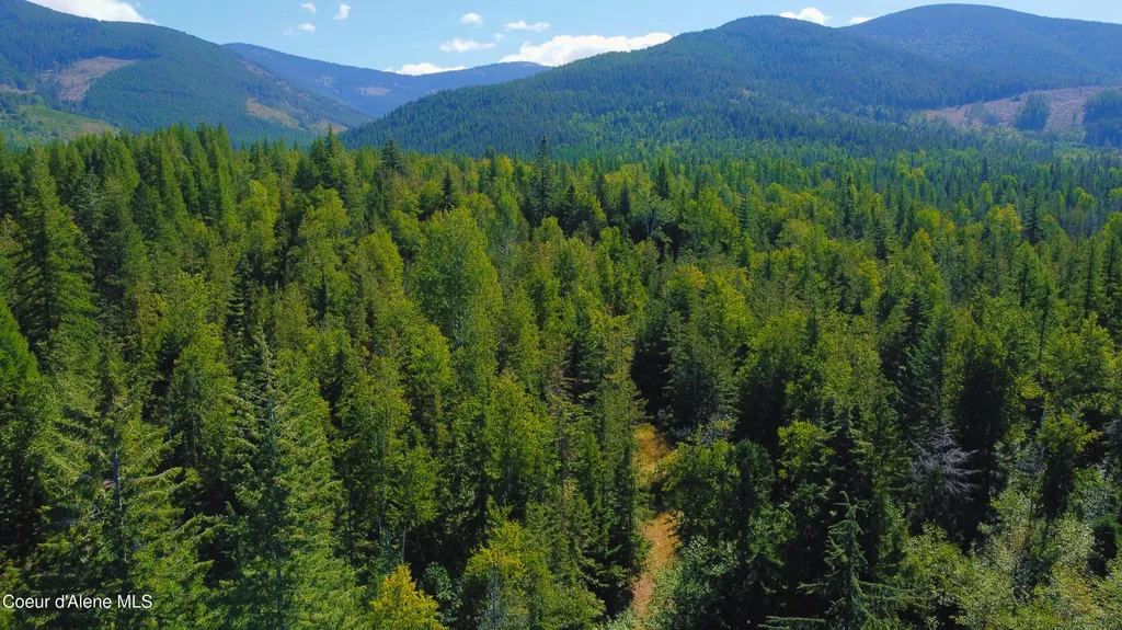 Box Canyon 5 Acres Sandpoint ID 83864