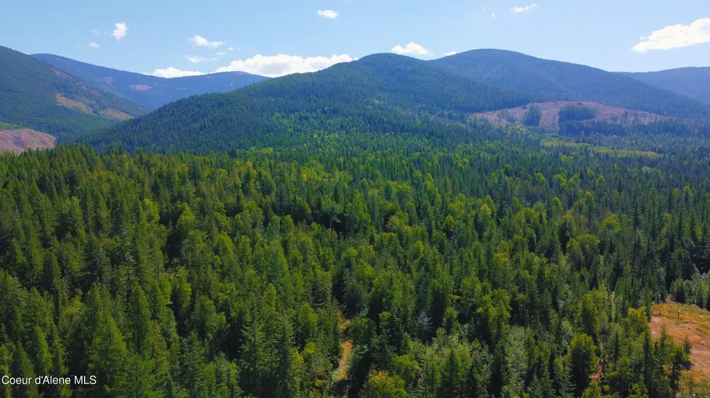 Box Canyon 5 Acres Sandpoint ID 83864