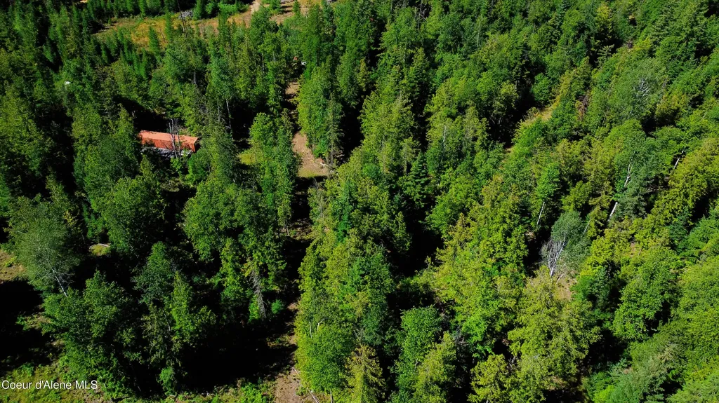 Box Canyon 5 Acres Sandpoint ID 83864