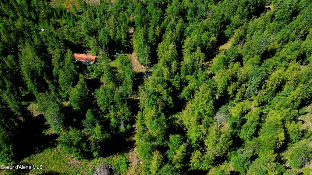 Box Canyon 5 Acres Sandpoint ID 83864