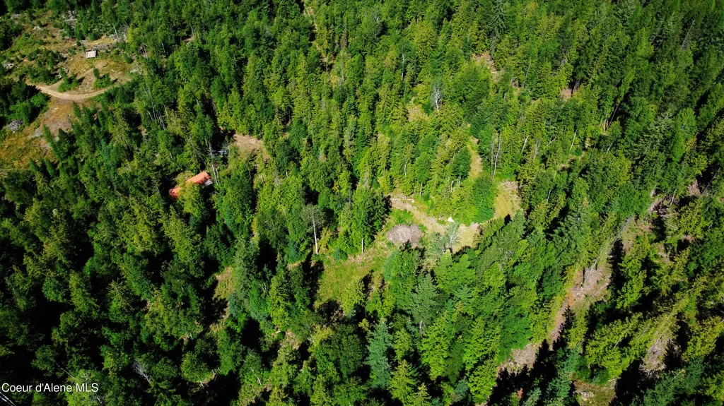 Box Canyon 5 Acres Sandpoint ID 83864