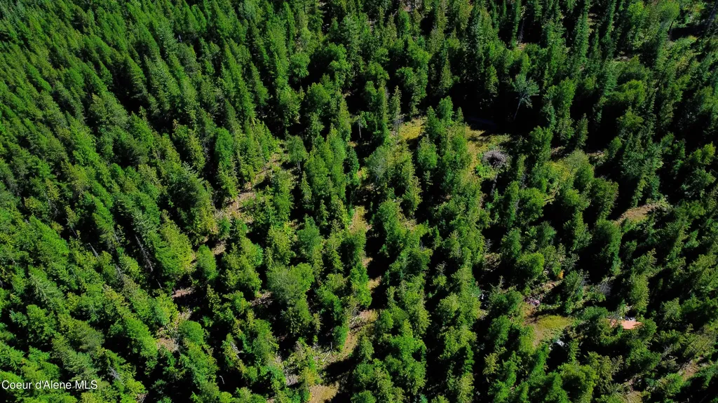 Box Canyon 5 Acres Sandpoint ID 83864