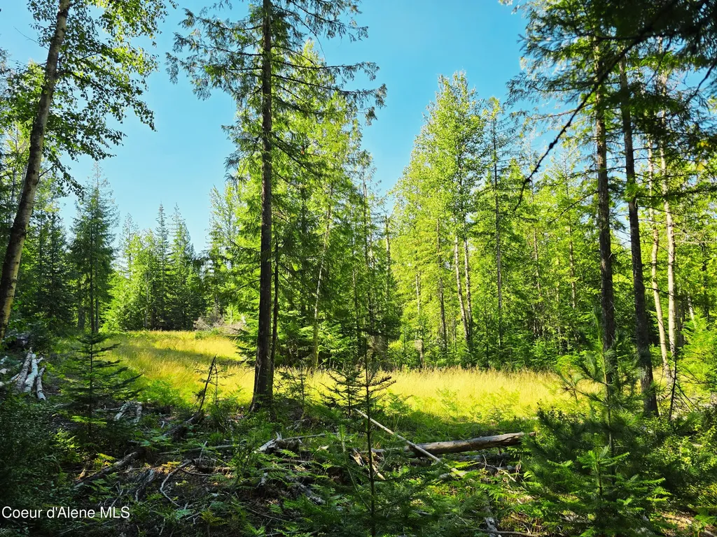 Box Canyon 5 Acres Sandpoint ID 83864