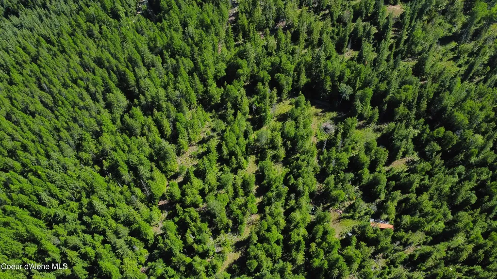Box Canyon 5 Acres Sandpoint ID 83864
