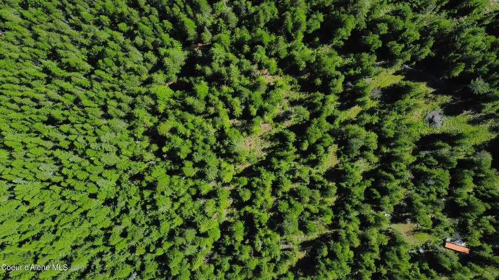 Box Canyon 5 Acres Sandpoint ID 83864