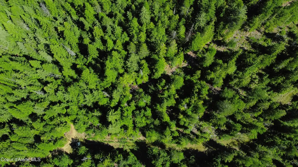 Box Canyon 5 Acres Sandpoint ID 83864