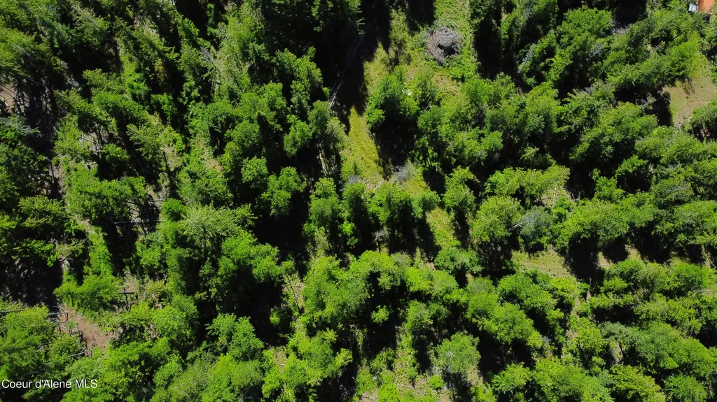 Box Canyon 5 Acres Sandpoint ID 83864