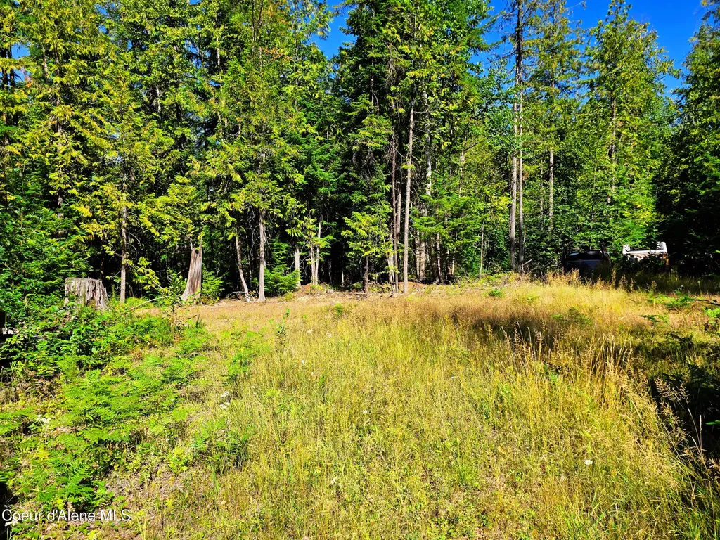 Box Canyon 5 Acres Sandpoint ID 83864