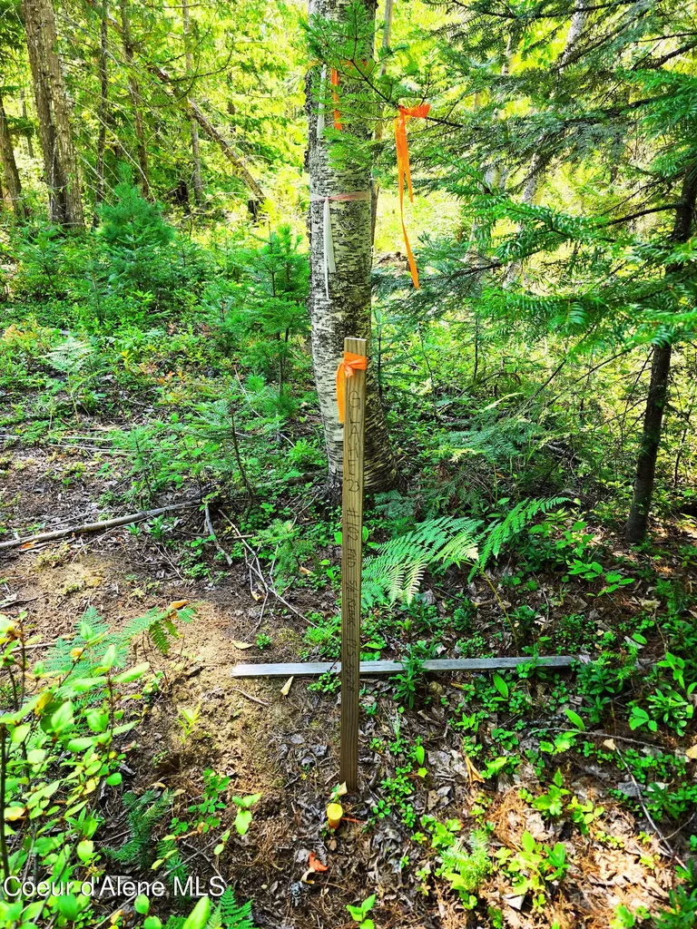 Box Canyon 5 Acres Sandpoint ID 83864