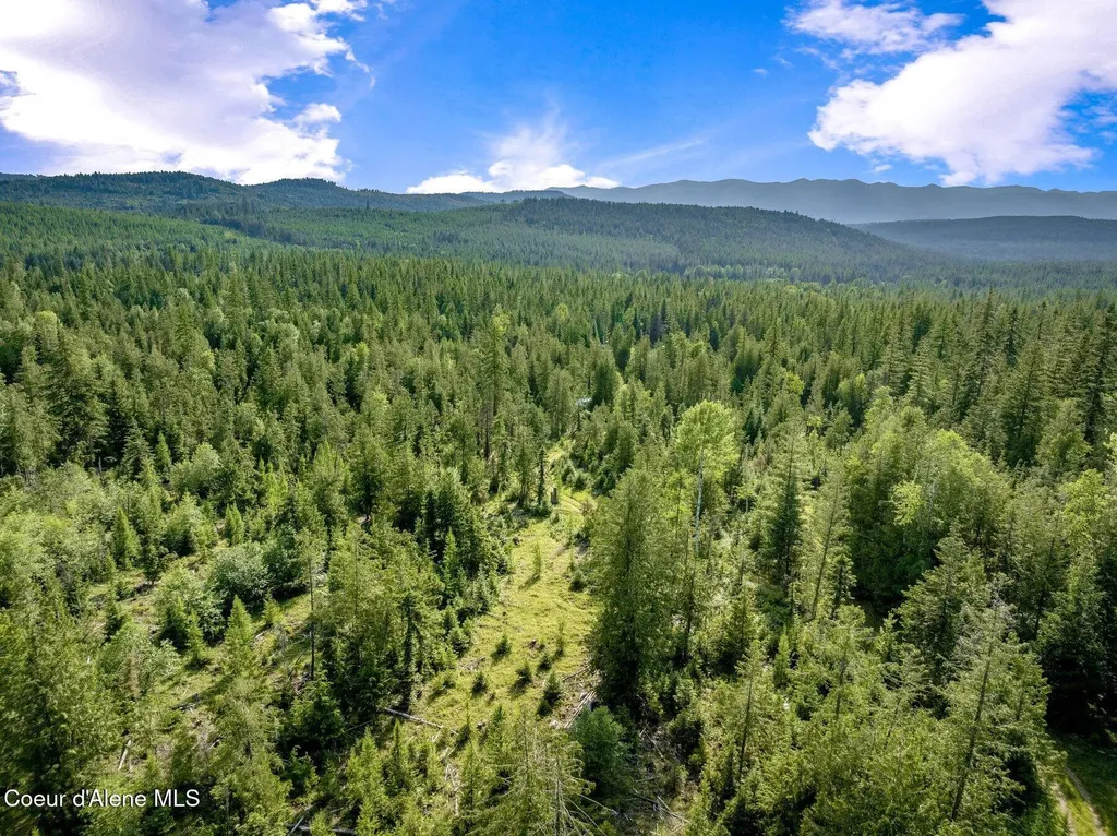 245 Barbary Sandpoint ID 83864