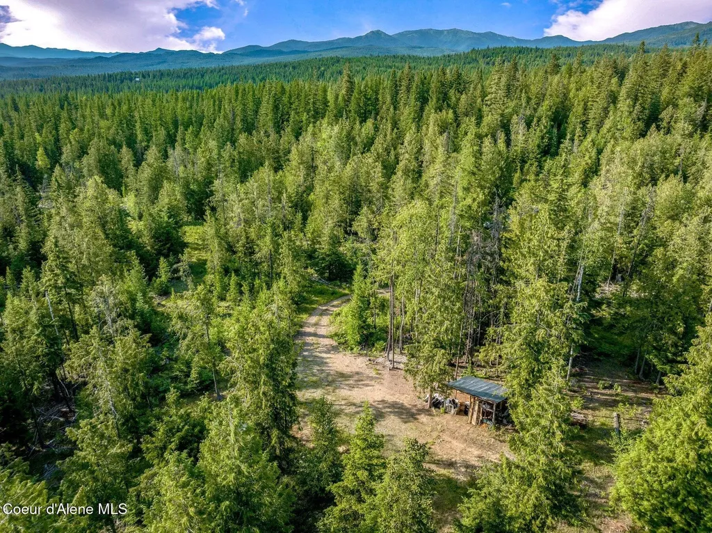 245 Barbary Sandpoint ID 83864