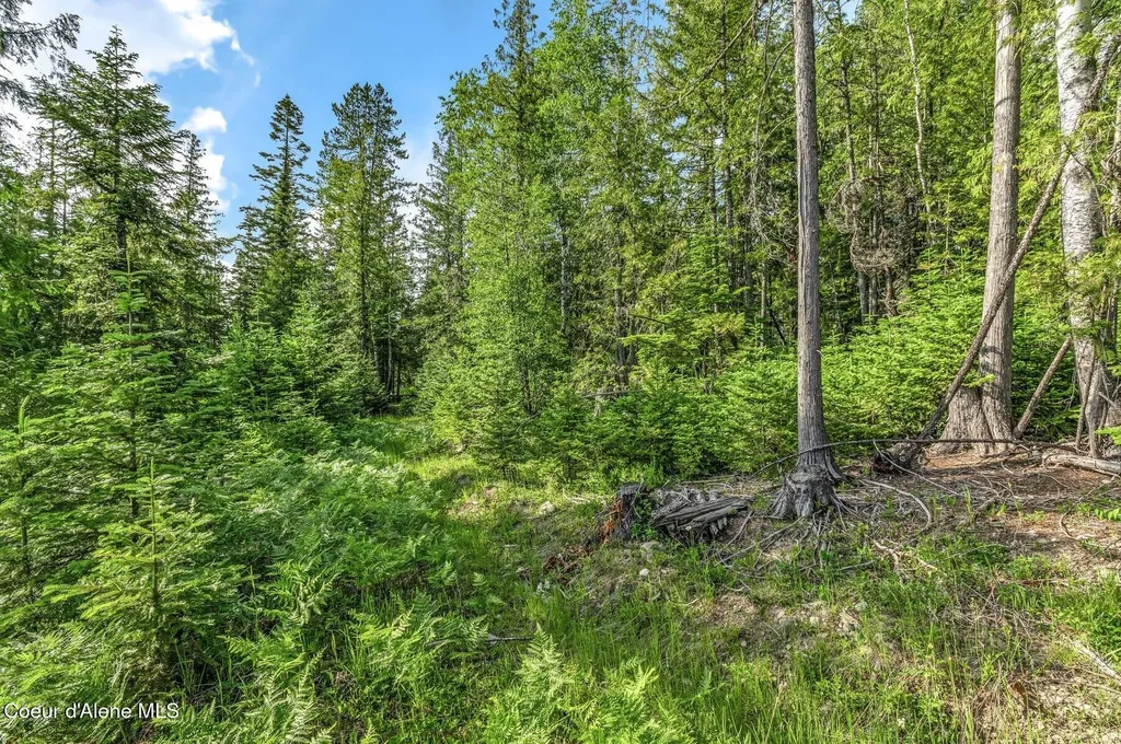 245 Barbary Sandpoint ID 83864