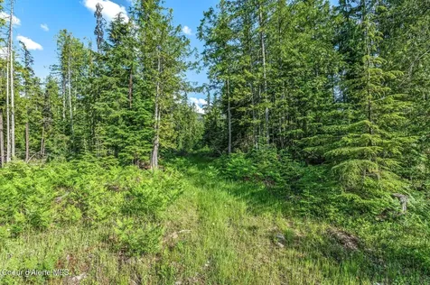 245 Barbary Sandpoint ID 83864