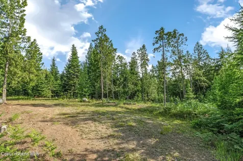 245 Barbary Sandpoint ID 83864