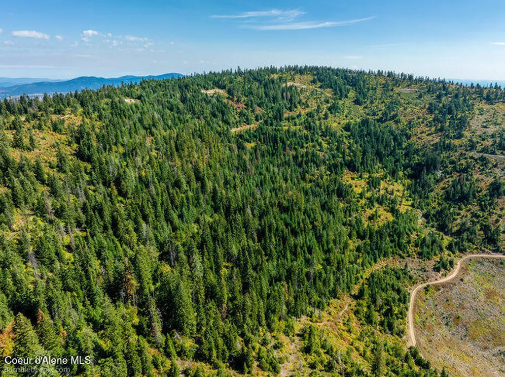 Nna Cherry Creek Road St. Maries ID 83861