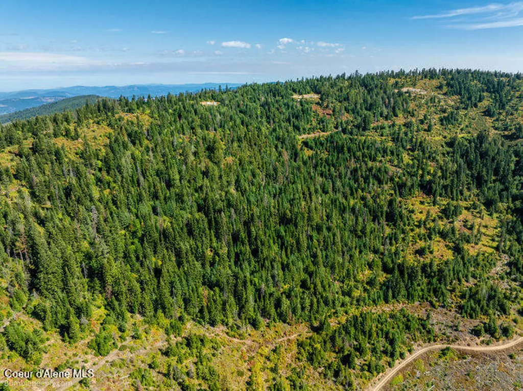 Nna Cherry Creek Road St. Maries ID 83861