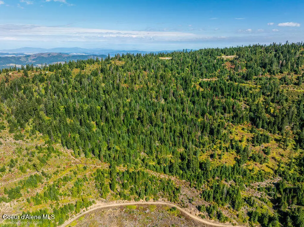Nna Cherry Creek Road St. Maries ID 83861