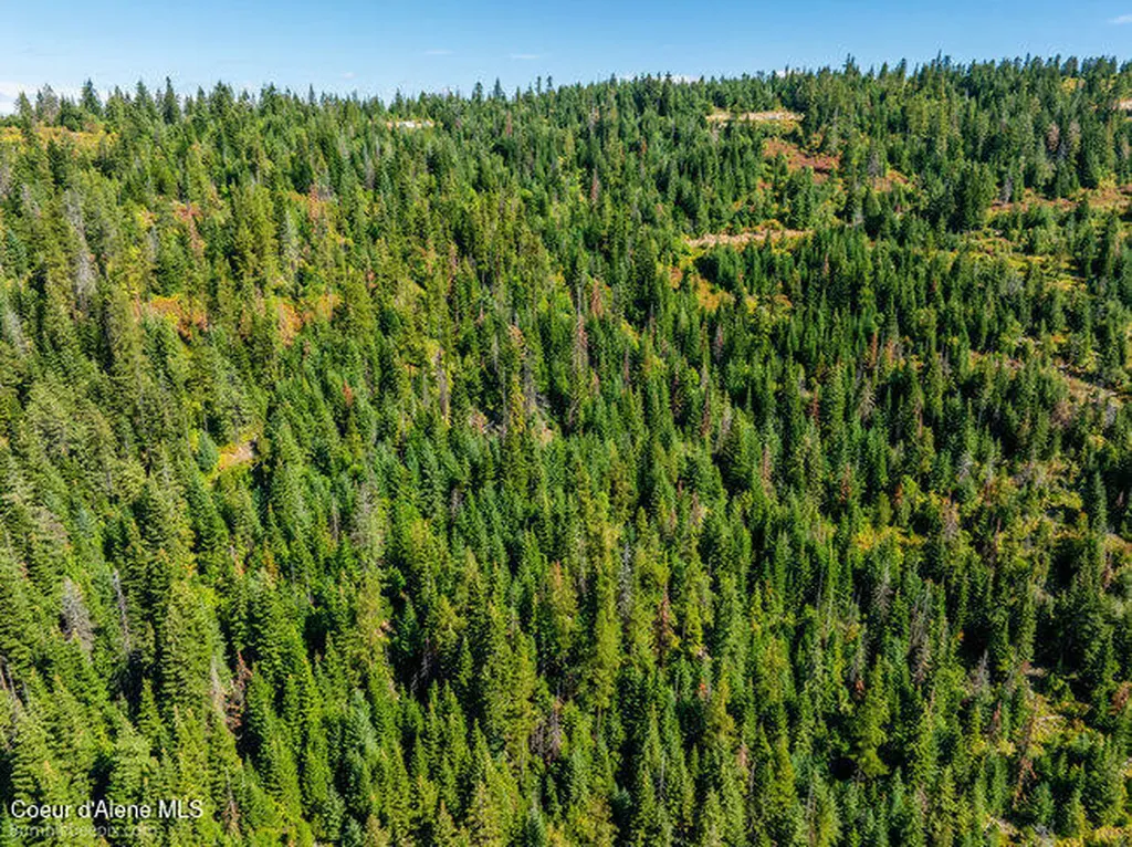 Nna Cherry Creek Road St. Maries ID 83861