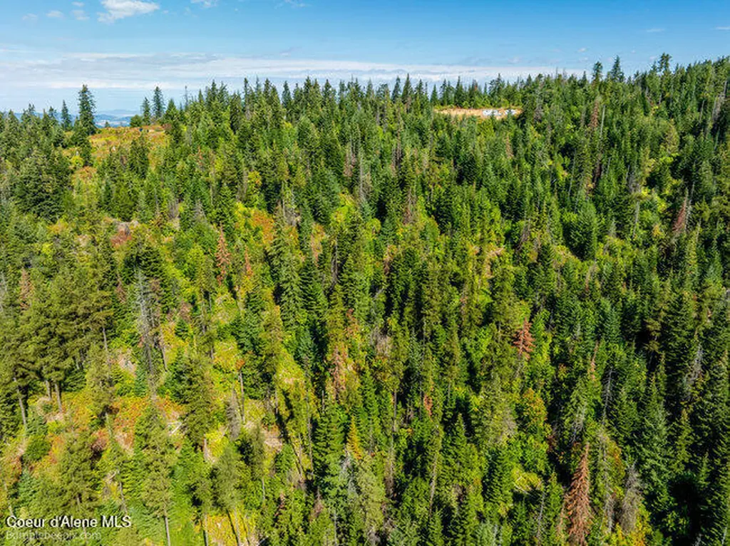Nna Cherry Creek Road St. Maries ID 83861
