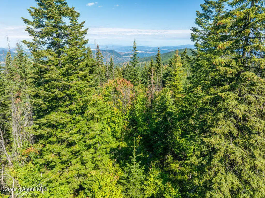 Nna Cherry Creek Road St. Maries ID 83861