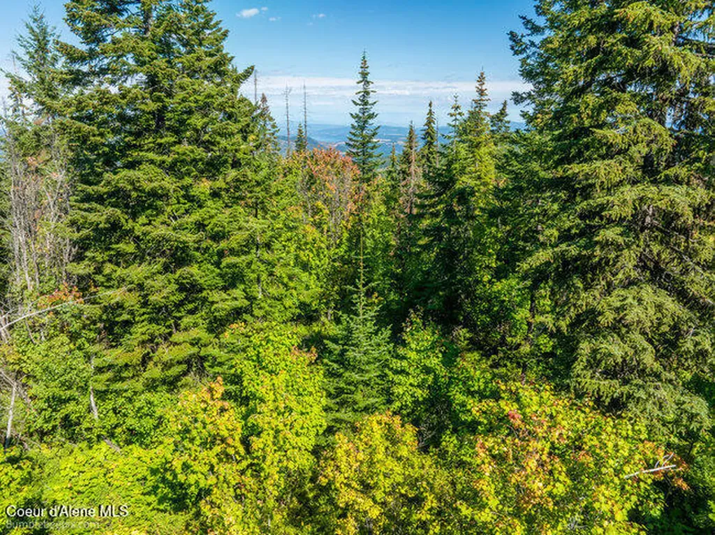 Nna Cherry Creek Road St. Maries ID 83861