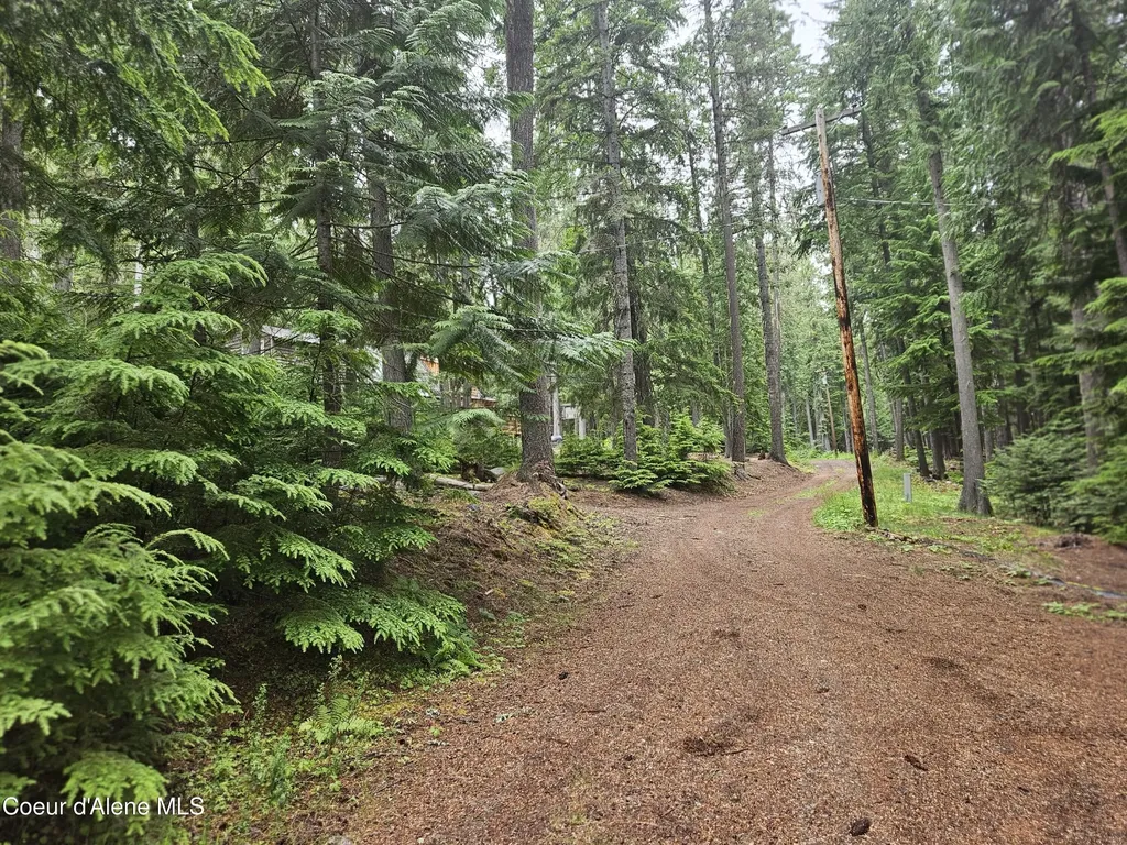 57 N Neopit Road Priest Lake ID 83856