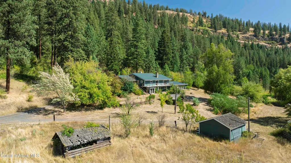 1133 Goosehaven Road St. Maries ID 83861