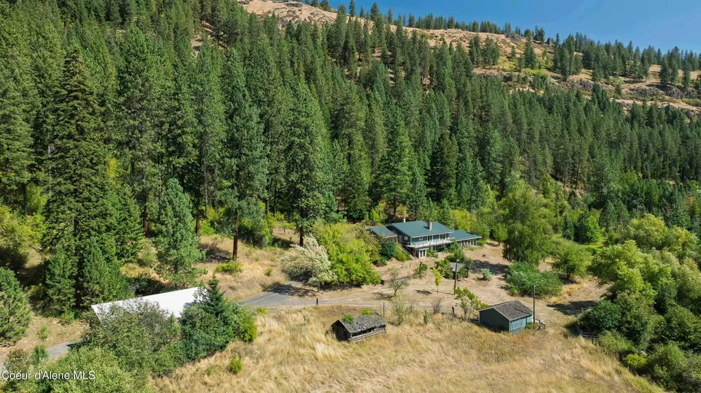 1133 Goosehaven Road St. Maries ID 83861