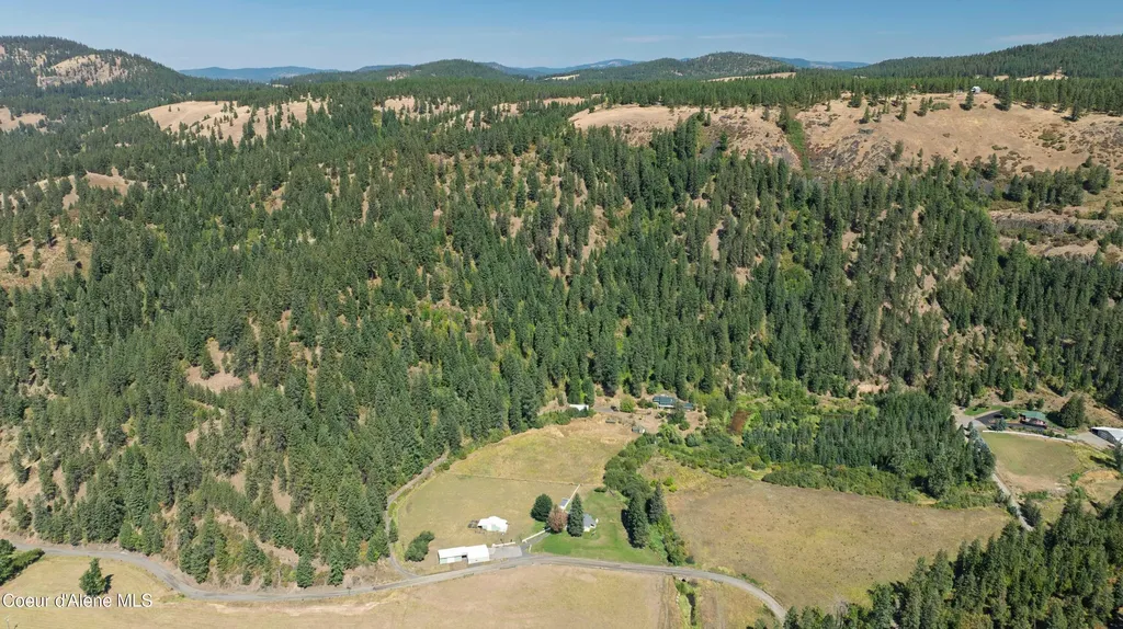 1133 Goosehaven Road St. Maries ID 83861
