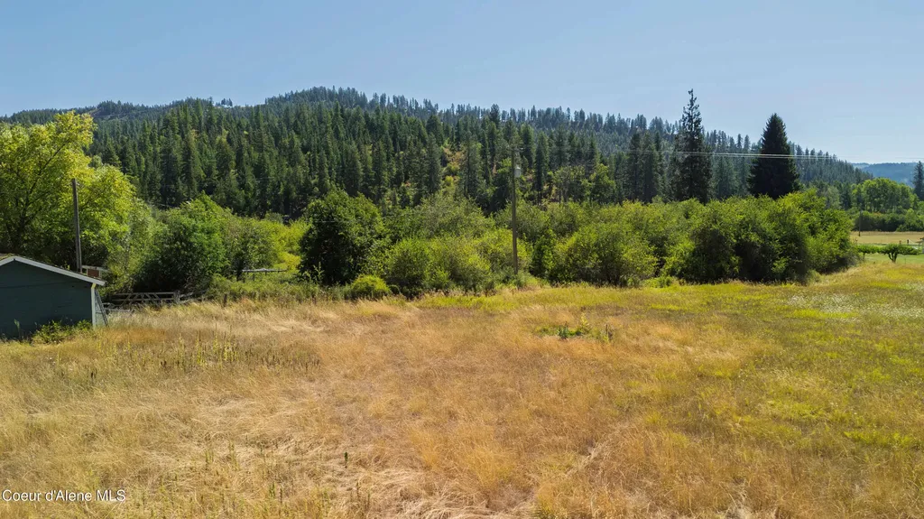 1133 Goosehaven Road St. Maries ID 83861