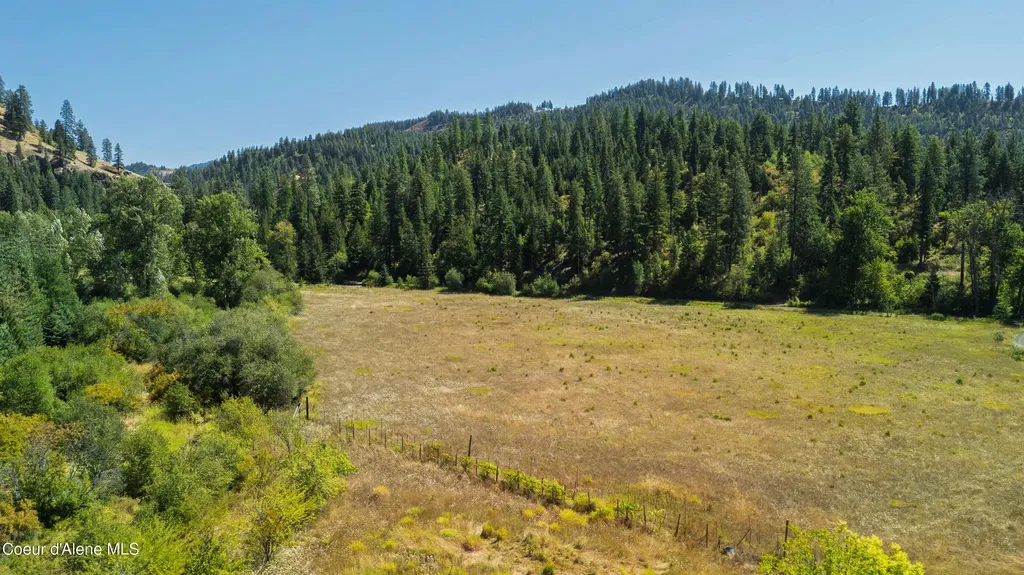 1133 Goosehaven Road St. Maries ID 83861