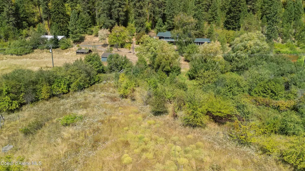 1133 Goosehaven Road St. Maries ID 83861