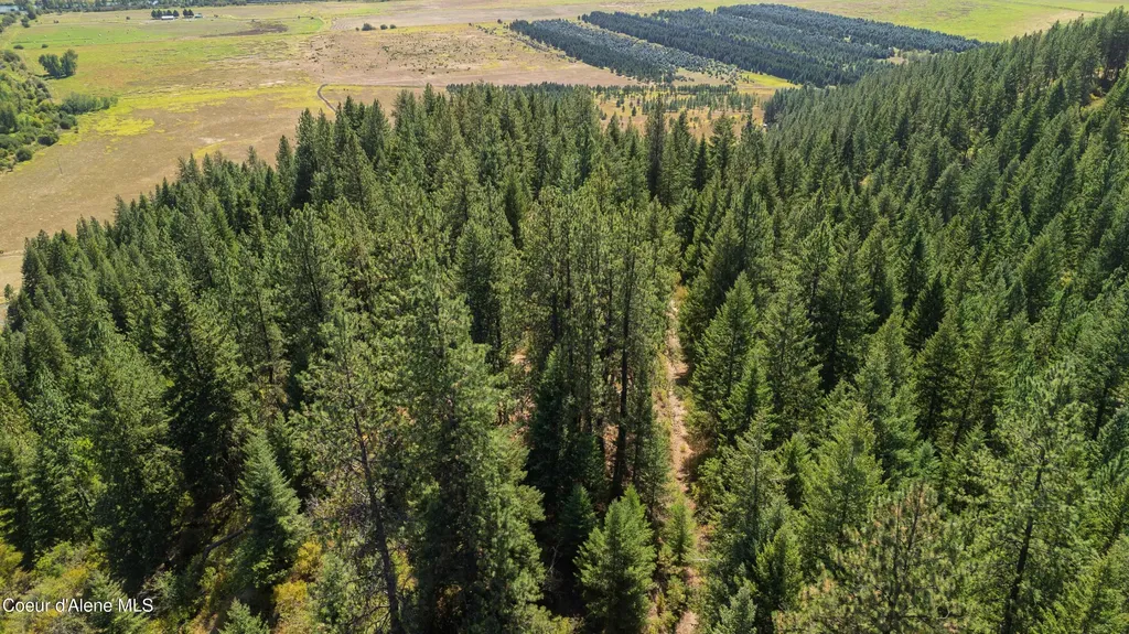 1133 Goosehaven Road St. Maries ID 83861