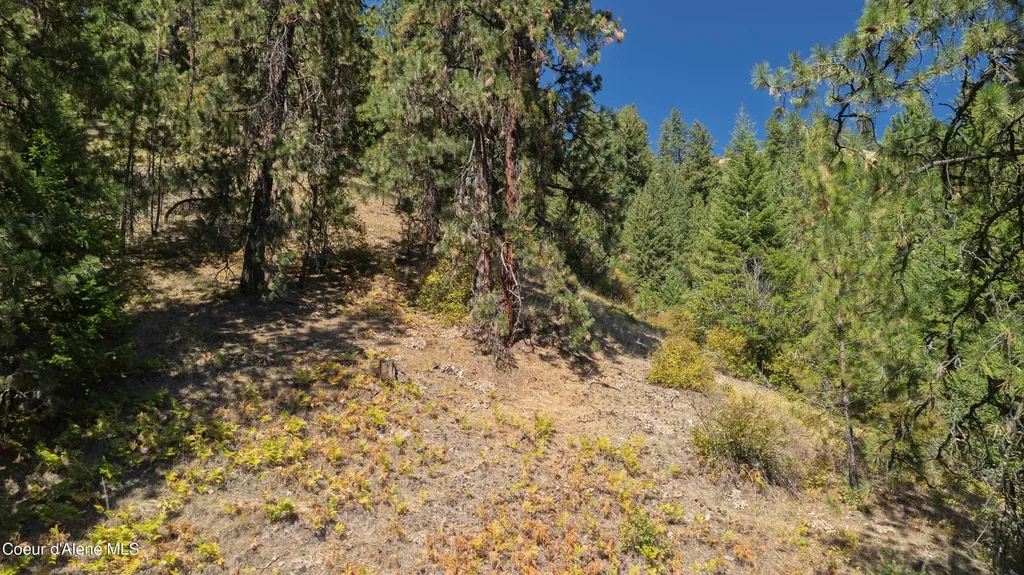 1133 Goosehaven Road St. Maries ID 83861