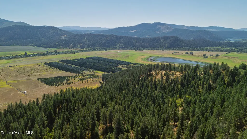 1133 Goosehaven Road St. Maries ID 83861