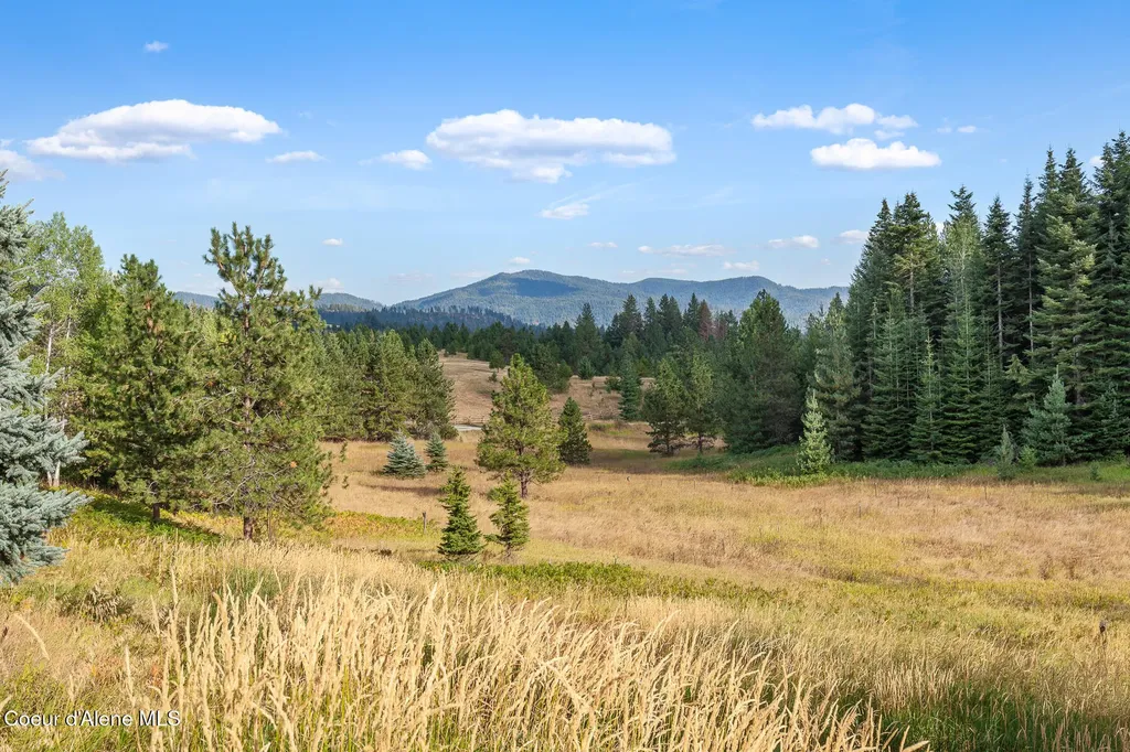 16155 N Buckhorn Road Hayden ID 83835