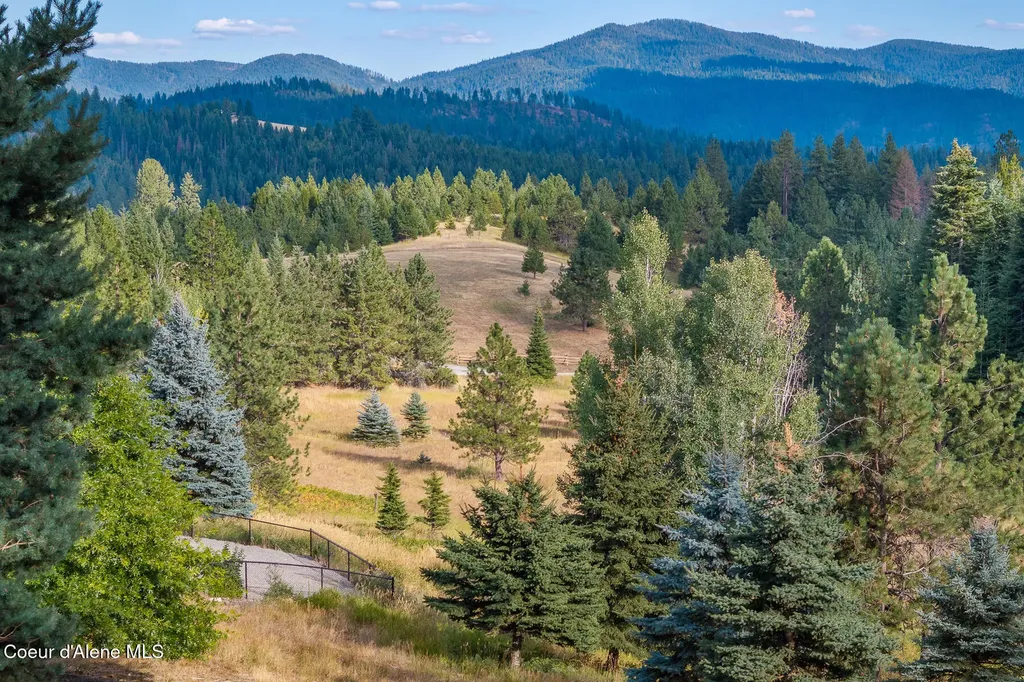16155 N Buckhorn Road Hayden ID 83835
