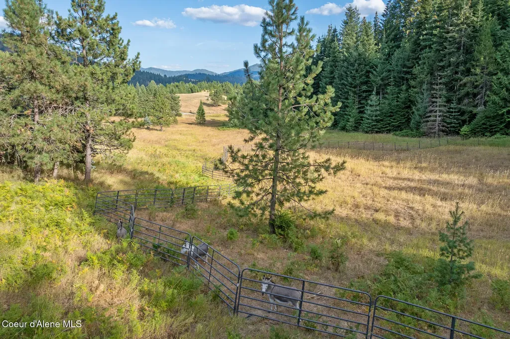 16155 N Buckhorn Road Hayden ID 83835