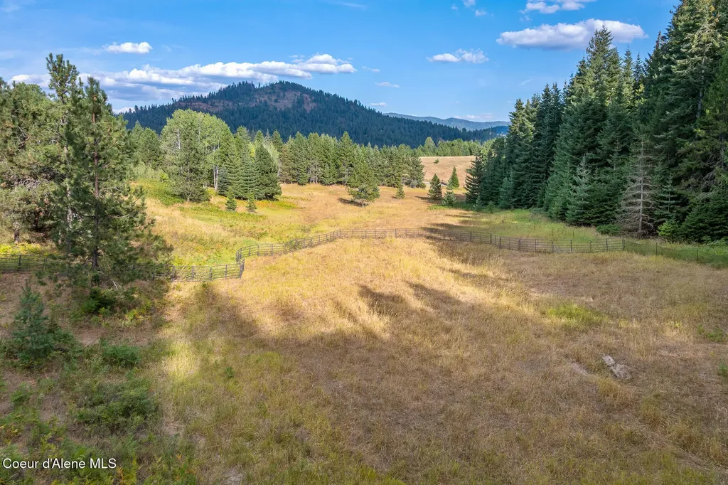 16155 N Buckhorn Road Hayden ID 83835