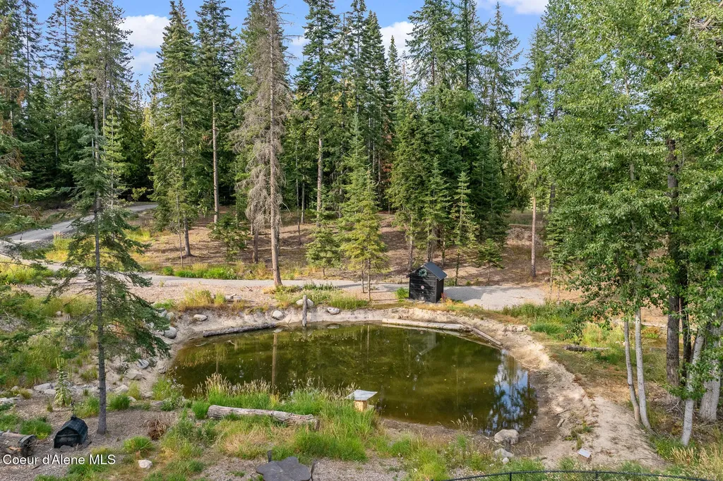 16155 N Buckhorn Road Hayden ID 83835