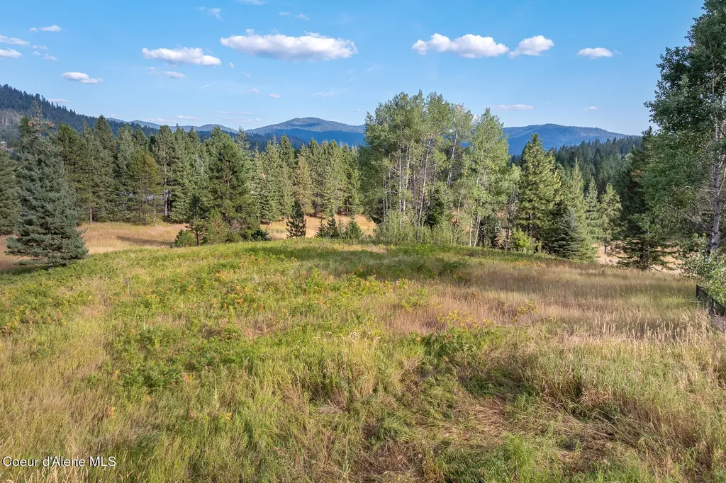 16155 N Buckhorn Road Hayden ID 83835
