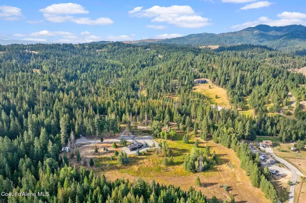 16155 N Buckhorn Road Hayden ID 83835