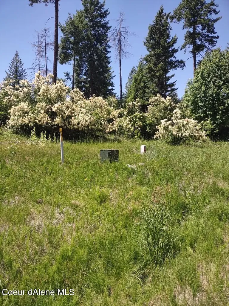 Lot 28 Wood Duck Lane Bonners Ferry ID 83805