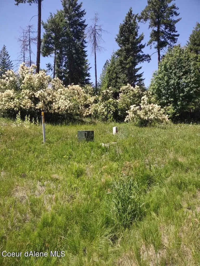 Lot 28 Wood Duck Lane Bonners Ferry ID 83805