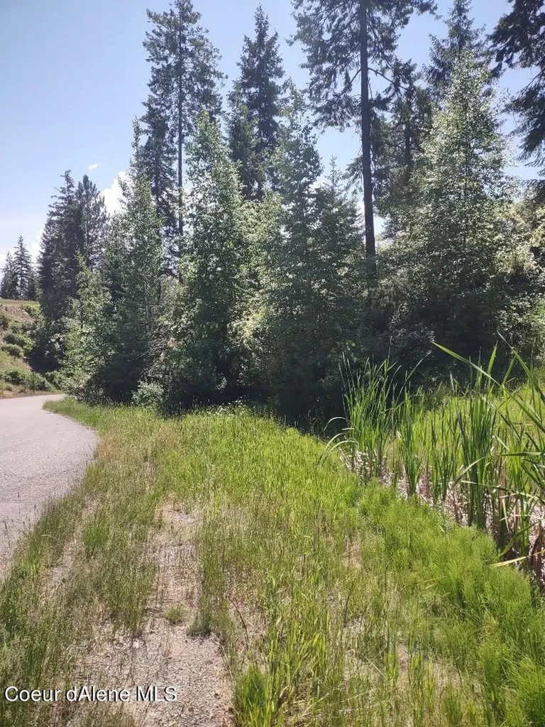 Lot 28 Wood Duck Lane Bonners Ferry ID 83805