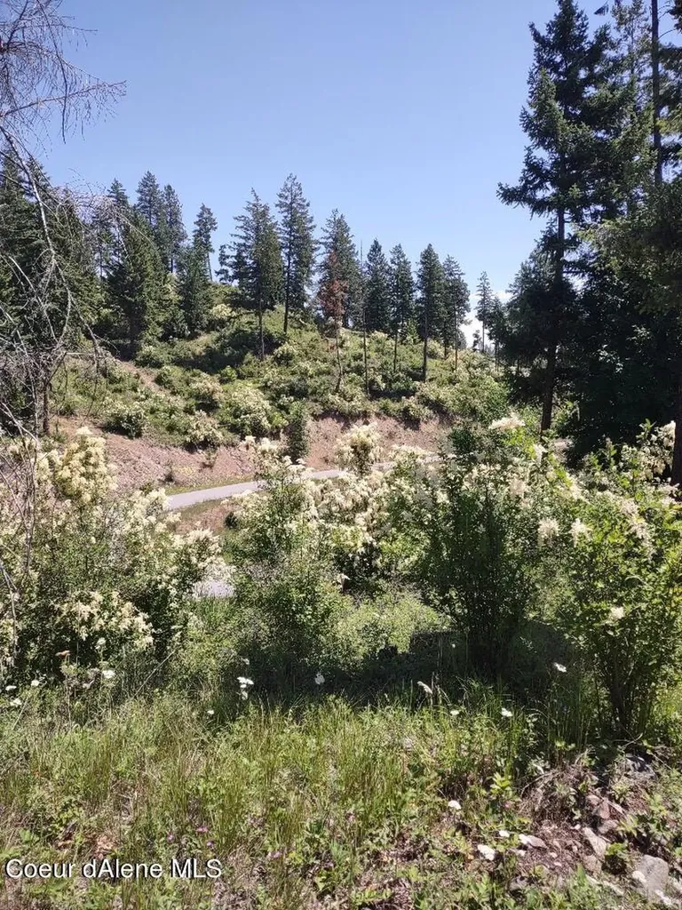 Lot 28 Wood Duck Lane Bonners Ferry ID 83805