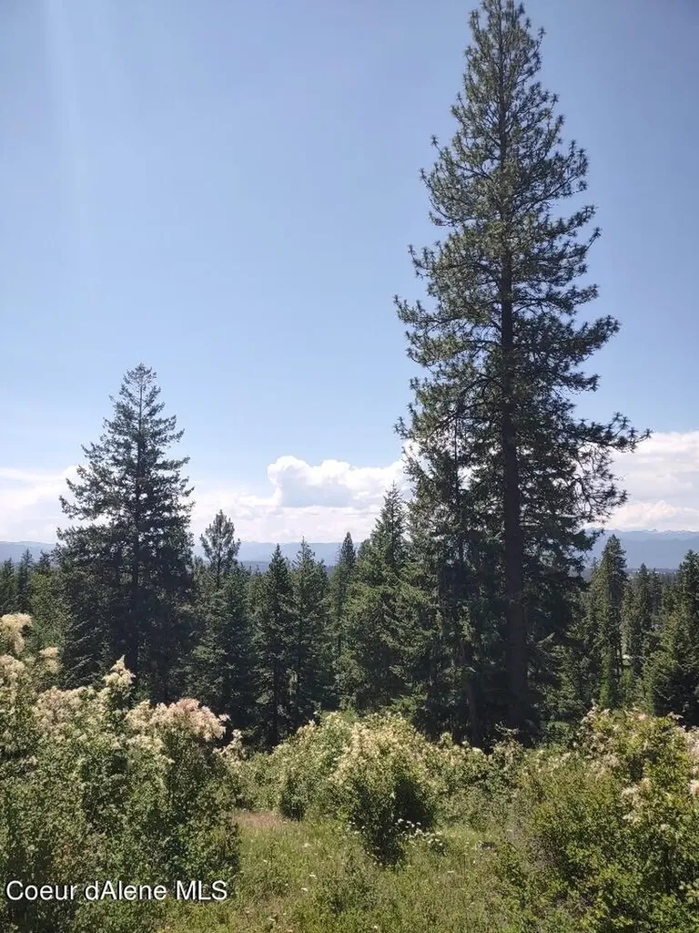 Lot 28 Wood Duck Lane Bonners Ferry ID 83805