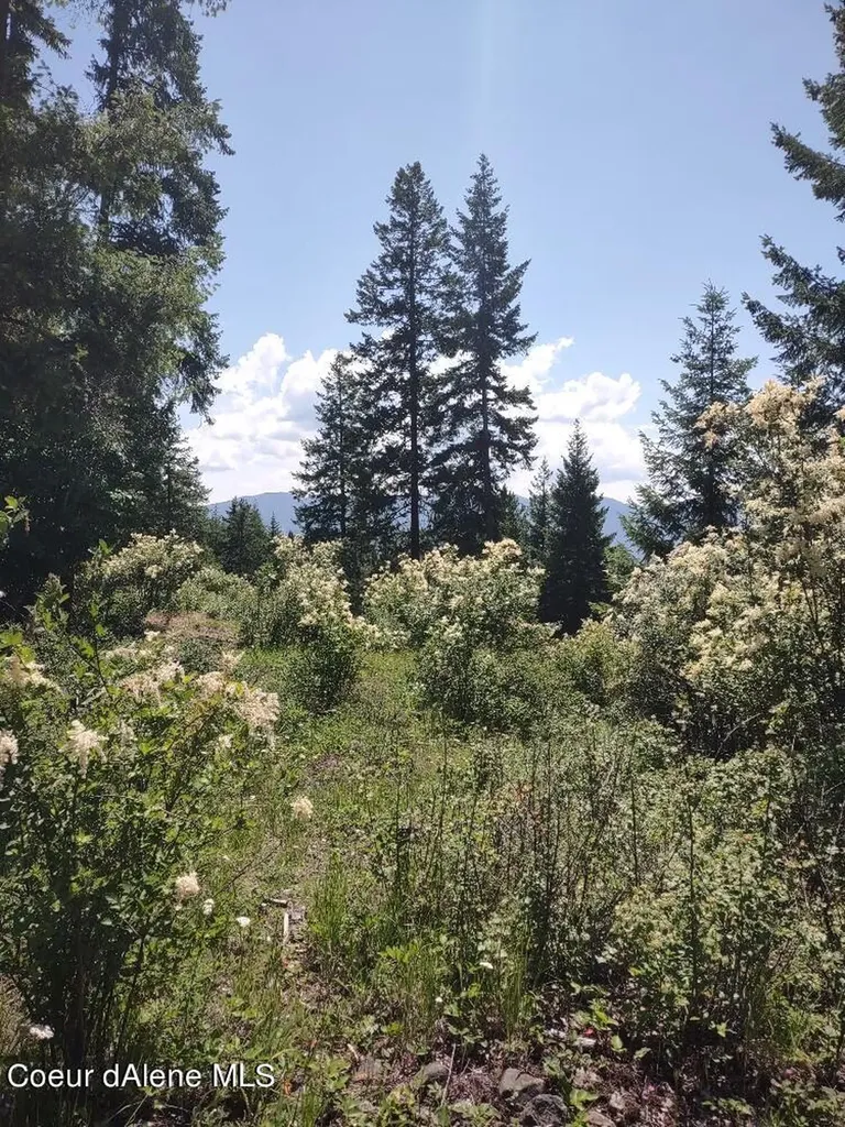 Lot 28 Wood Duck Lane Bonners Ferry ID 83805
